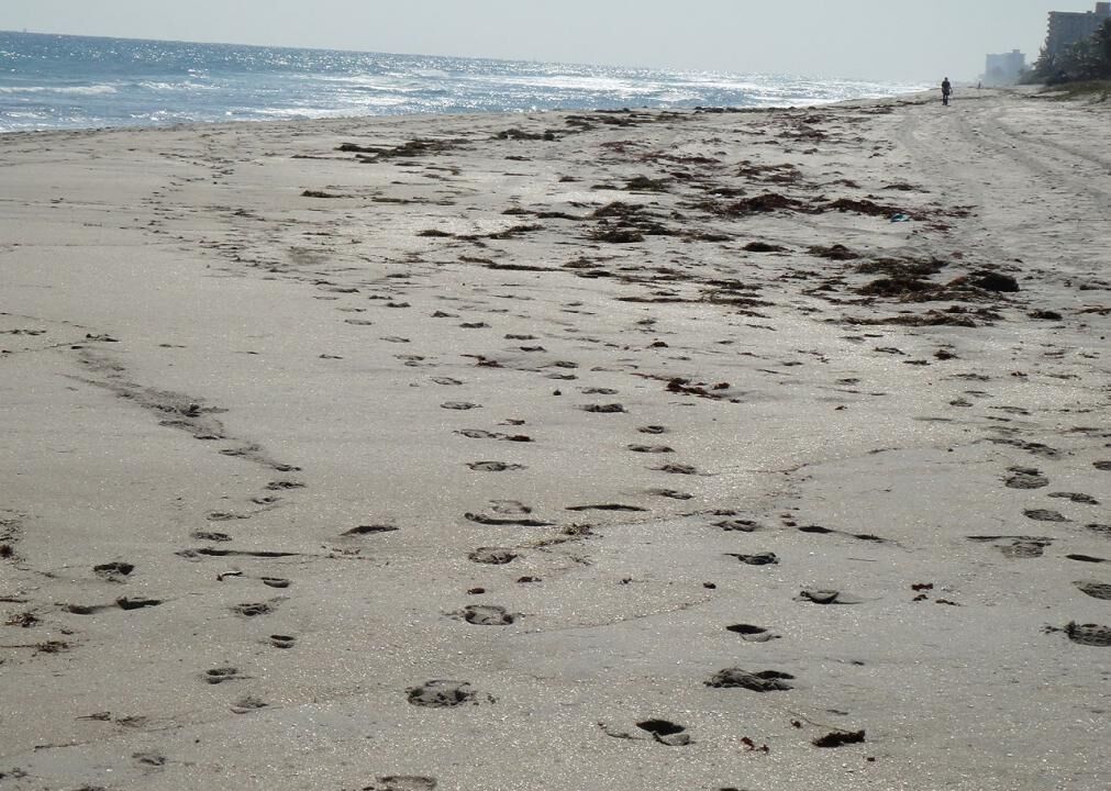#9. Highland Beach, Florida